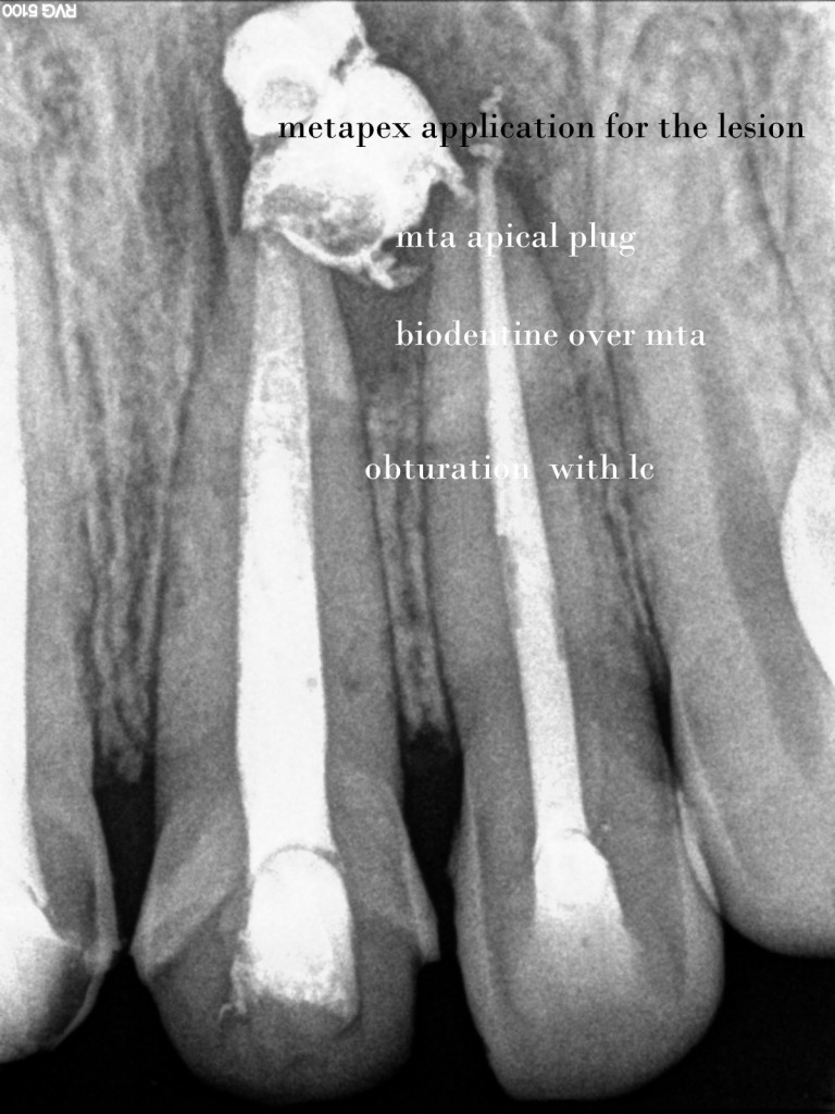 dentist in jamangar